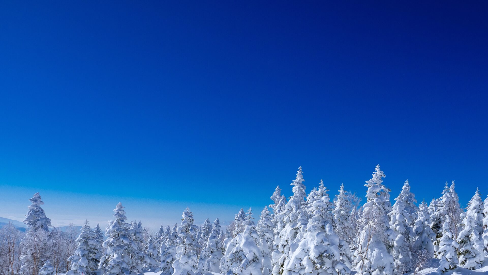 冬だからこそ訪れたい！宮城の名所おすすめスポット❄️