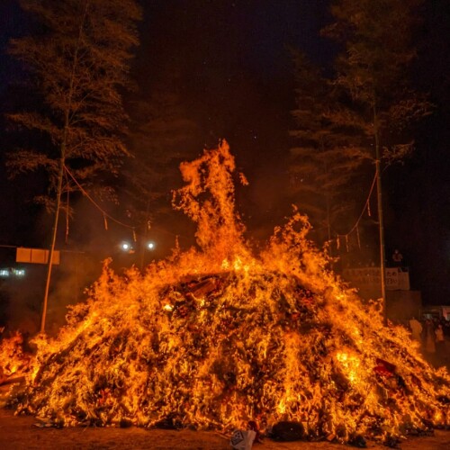 冬の風物詩「どんと祭」目前、大崎八幡宮で正月飾りの持ち込みがピークに