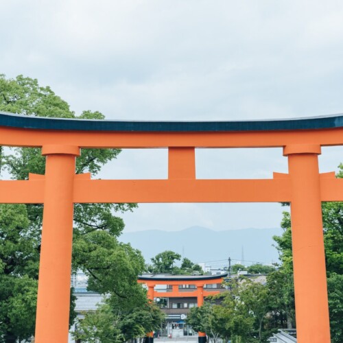 初詣は「大崎八幡宮」で開運祈願⛩✨