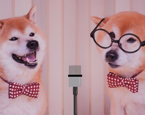 宮城が誇る生ける伝説！狩野英孝！天然＆奇跡のエピソードまとめ