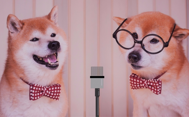 宮城が誇る生ける伝説！狩野英孝！天然＆奇跡のエピソードまとめ