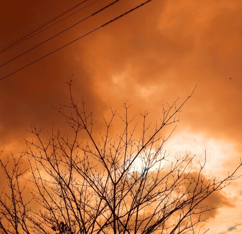 【仙台で黄砂を観測】肌荒れや洗濯物への影響も？春の空気トラブルにご注意を