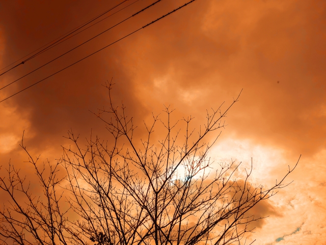 【仙台で黄砂を観測】肌荒れや洗濯物への影響も？春の空気トラブルにご注意を