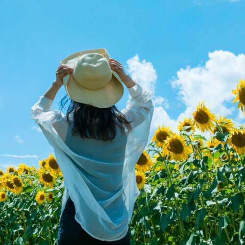 推しの夏イベントに行きたい人へ！今からでも間に合う女性向け副業4選