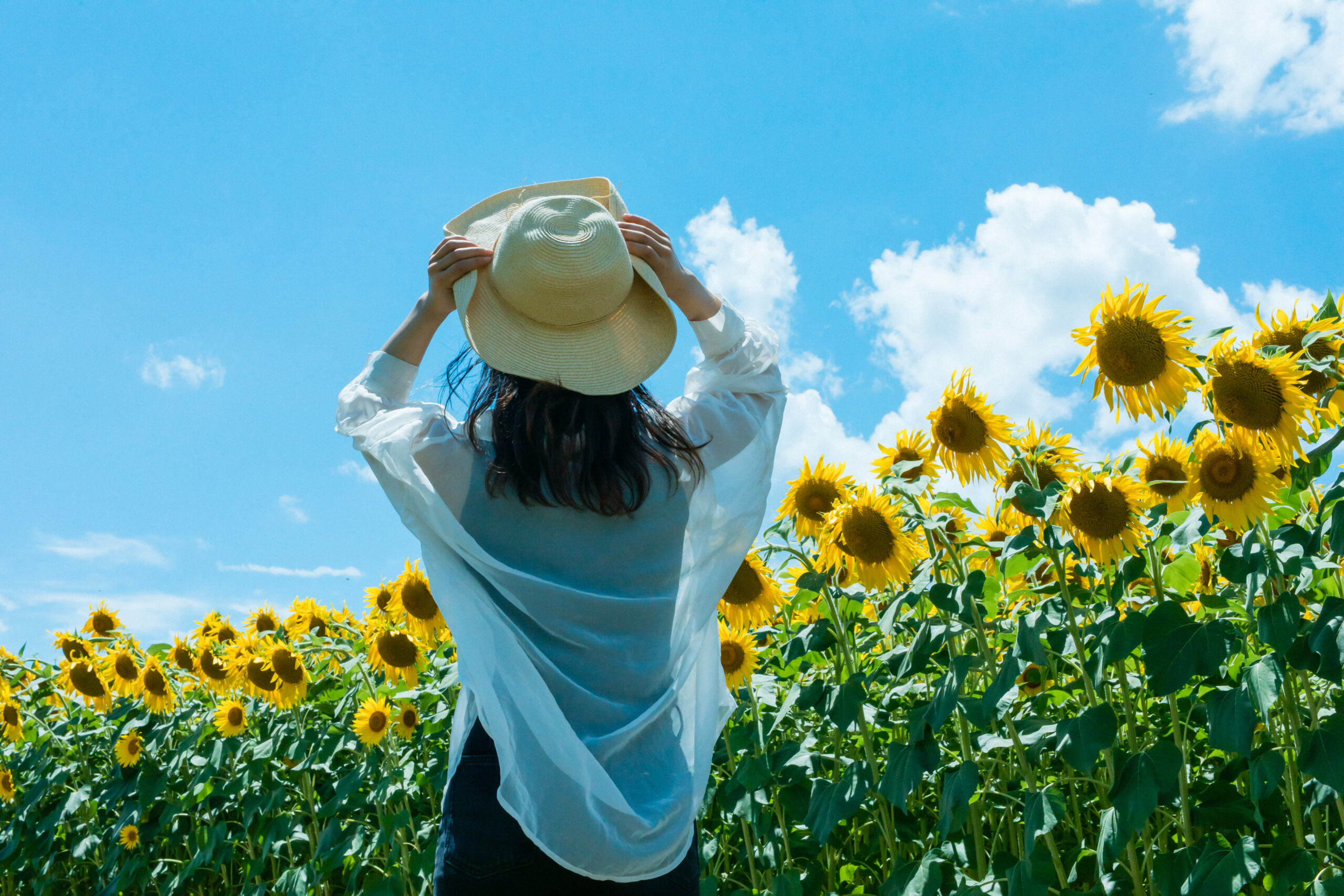 推しの夏イベントに行きたい人へ！今からでも間に合う女性向け副業4選