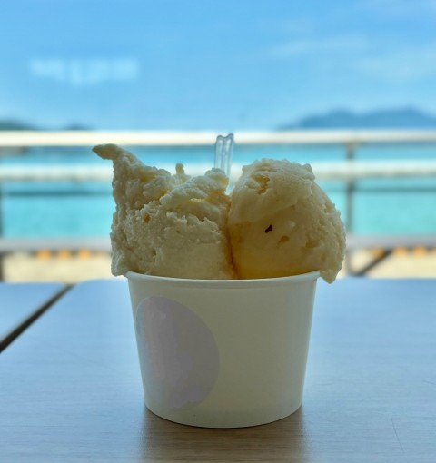 仙台で“今”食べたいご褒美アイス店4選【2025年8月最新】